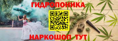 прущие крисы Северобайкальск