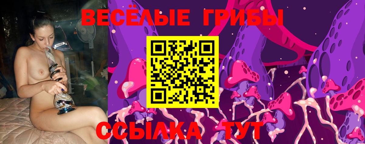 Ржев  Псилоцибиновые грибы мицелий  Вход с VPN 