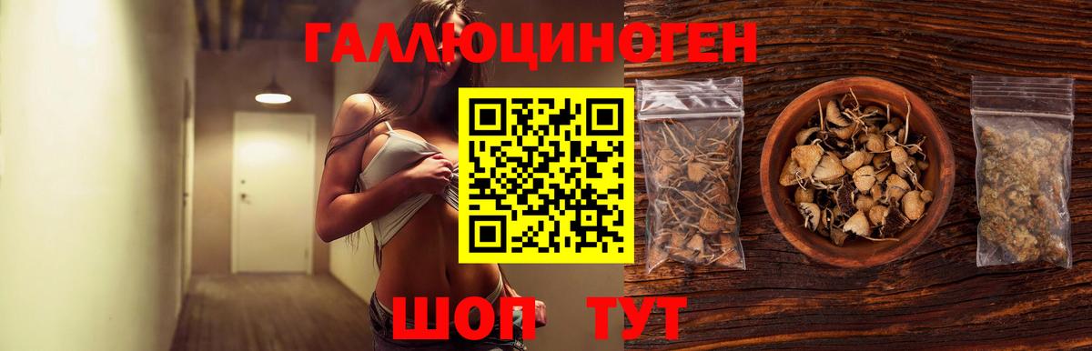 Галлюциногенные грибы Cubensis Ржев