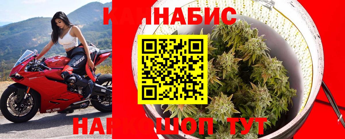 Конопля планчик Ржев